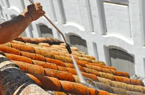 Nettoyage de toitures - Loire
